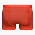 Термобоксери чоловічі icebreaker Anatomica Cool-Lite red 2
