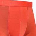 Термобоксери чоловічі icebreaker Anatomica Cool-Lite red 3
