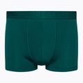 Термобоксери чоловічі icebreaker Anatomica Cool-Lite greenglory
