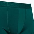 Термобоксери чоловічі icebreaker Anatomica Cool-Lite greenglory 3