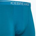 Термобоксери чоловічі icebreaker Anatomica geo blue 3