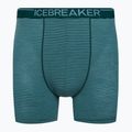 Термобоксери чоловічі icebreaker Anatomica greenglory