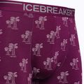 Термобоксери чоловічі icebreaker Anatomica go berry 3