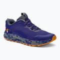 Кросівки для бігу чоловічі Under Armour Charged Bandit TR 2 сині 3024186
