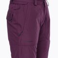 Штани сноубордичні жіночі Volcom Knox Ins Gore-Tex blackberry 10