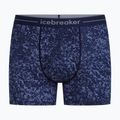 Боксери термоактивні чоловічі Icebreaker Merino 150 Anatomica Moss Bloom midnight navy/aop