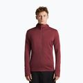 Кофта чоловіча Icebreaker Merino 260 Quantum IV LS Zip Hoodie port/agate