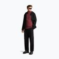 Кофта чоловіча Icebreaker Merino 260 Quantum IV LS Zip Hoodie port/agate 2