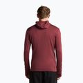 Кофта чоловіча Icebreaker Merino 260 Quantum IV LS Zip Hoodie port/agate 3