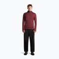 Кофта чоловіча Icebreaker Merino 260 Quantum IV LS Zip Hoodie port/agate 4