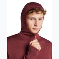 Кофта чоловіча Icebreaker Merino 260 Quantum IV LS Zip Hoodie port/agate 6