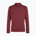Кофта чоловіча Icebreaker Merino 260 Quantum IV LS Zip Hoodie port/agate 10