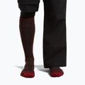 Шкарпетки лижні чоловічі icebreaker Merino Ski+ Medium OTC bittersweet/port/black 3