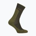 Шкарпетки чоловічі Icebreaker Merino Hike+ Medium Crew dark loden/sphagnum 2