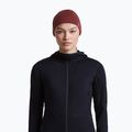 Шапка icebreaker Merino 200 Oasis Reversible Beanie agate/port 9