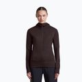 Кофта жіноча Icebreaker Merino 260 Quantum IV LS Zip Hoodie bittersweet