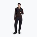 Кофта жіноча Icebreaker Merino 260 Quantum IV LS Zip Hoodie bittersweet 2