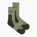 Шкарпетки жіночі Icebreaker Merino Hike+ Light Crew lichen/dark loden