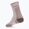 Шкарпетки жіночі Icebreaker Merino Hike+ Ultralight Quarterpink quartz/porcini 2