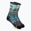 Шкарпетки трекінгові жіночі Smartwool Hike Light Cushion Icy Range Print Crew кольорові SW001988150