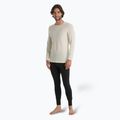 Чоловіча термоактивна кофта icebreaker 200 Oasis Crewe undyed 3