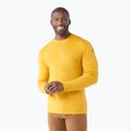 Чоловіча термофутболка Smartwool Merino 250 Baselayer Crew Boxed honey gold