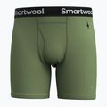 Чоловічий термобоксер Smartwool Merino Boxer Термобоксер короткий боксерський папороть зелений