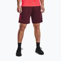 Шорти для тренувань чоловічі Under Armour Tech Graphic dark maroon/beta