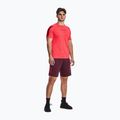 Шорти для тренувань чоловічі Under Armour Tech Graphic dark maroon/beta 3