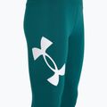 Легінси жіночі Under Armour Campus hydro teal/white 7