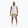 Чоловічі тренувальні шорти Under Armour UA Vanish Woven 6in timberwolf taupe/black 2