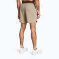 Шорти для тренувань чоловічі Under Armour UA Vanish Woven 6in timberwolf taupe/black 3