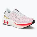 Черевики для бігу жіночі Under Armour Infinite Elite white/black/metallic gold