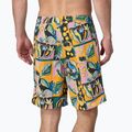 Чоловічі шорти Patagonia Wavefarer Boardshorts острів насіння/молочай ліловий 2