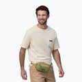 Patagonia Ultralight Black Hole Mini Hip Pack 1 л мішок для нирок із зеленої крушини 3