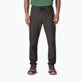 Штани трекінгові чоловічі Patagonia Quandary Joggers black