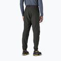 Штани трекінгові чоловічі Patagonia Nano-Air Light Bottoms black 3