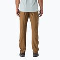 Штани трекінгові чоловічі Patagonia Terravia Trail Regular coriander brown 2