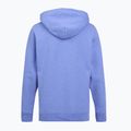 Кофта Patagonia P-6 Logo Uprisal abundant blue 2