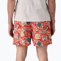 Шорти чоловічі Patagonia Baggies 5" wrasse/pollinator orange 3
