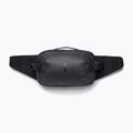 Сумка-бананка Cotopaxi Allpa X Hip Pack 3 л cotopaxi black 2