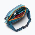 Сумка-бананка Cotopaxi Allpa X Hip Pack 1,5 л blue spruce/abyss 6