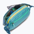 Сумка-бананка Cotopaxi Coso 2L Hip Pack abyss/coastal 5