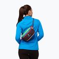 Сумка-бананка Cotopaxi Bataan Fanny 3 л del dia 6