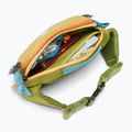 Сумка-бананка Cotopaxi Allpa X Hip Pack 1,5 л lemongrass/cedar 6