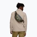 Сумка-бананка Cotopaxi Allpa X Hip Pack 3 л fatigue 7