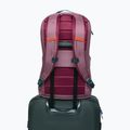 Рюкзак міський Cotopaxi Allpa Daypack 26 l fig 6