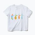 Футболка жіноча Cotopaxi Cuatro Bitmap white 5