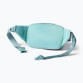 Сумка бананка Cotopaxi Allpa X Hip Pack 1,5 l tide pool 3