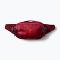 Сумка бананка Cotopaxi Allpa X Hip Pack 1,5 l crimson